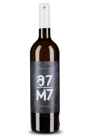 M7 Mtsvivani 2020