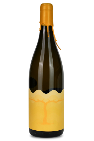 Wine with yellow label Rkatsiteli 2020